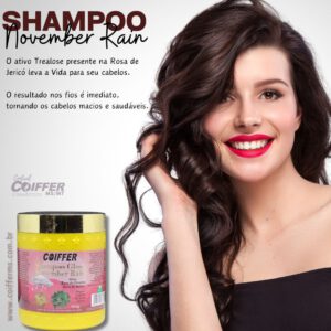 Shampoo November 500gr. Coiffer Cód. 5715